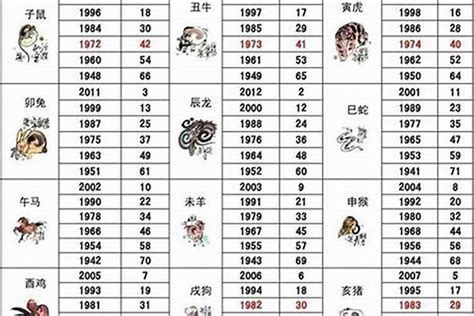 49岁属什么生肖2023|49岁属什么生肖